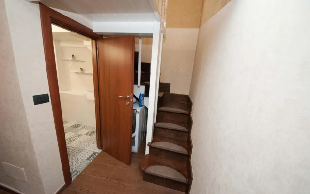 Daniela house