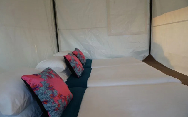 Singha Park Chiang Rai Camping