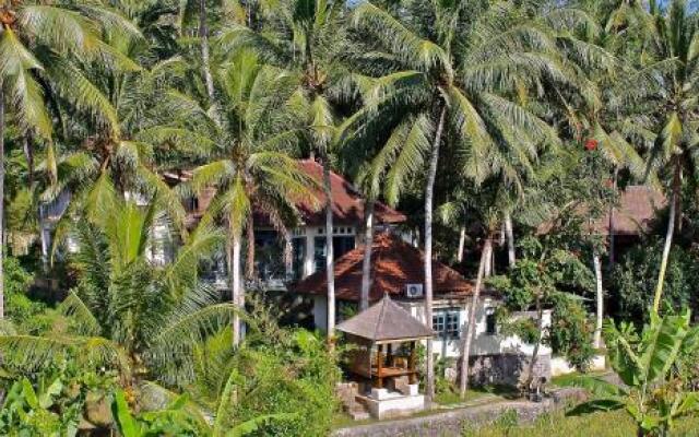 Artistic B&B Bungalow