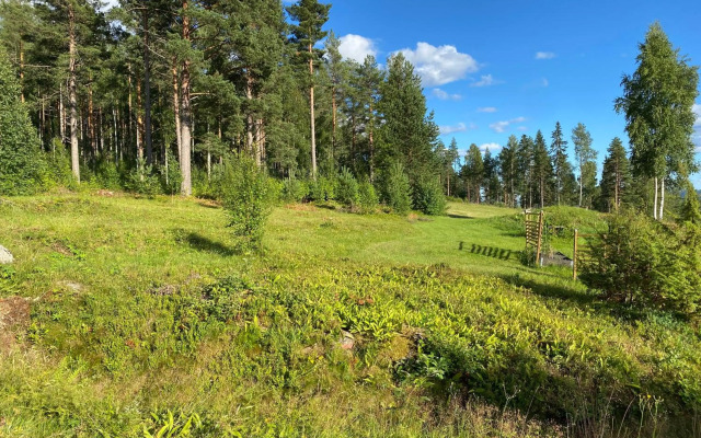 Beautiful 4-5 Persons Cottage in Alvdalen