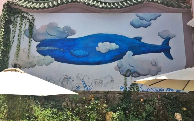 Whale Song Travel Inn