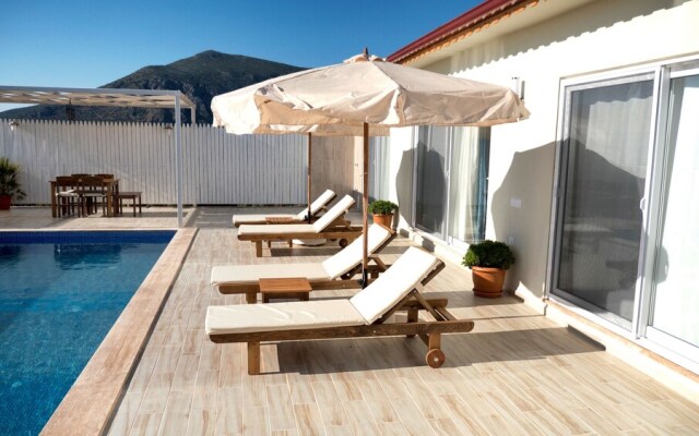 Villa Zeytin Uzumlu
