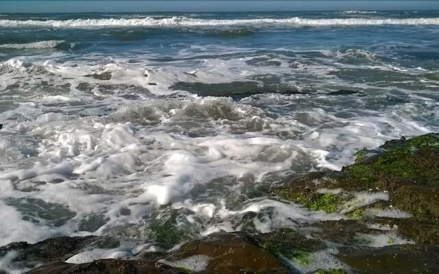 Hostel Tribos Livres