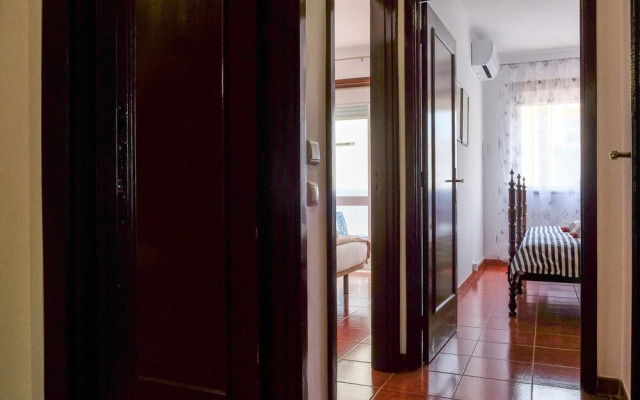 Aliados Delight by Homing