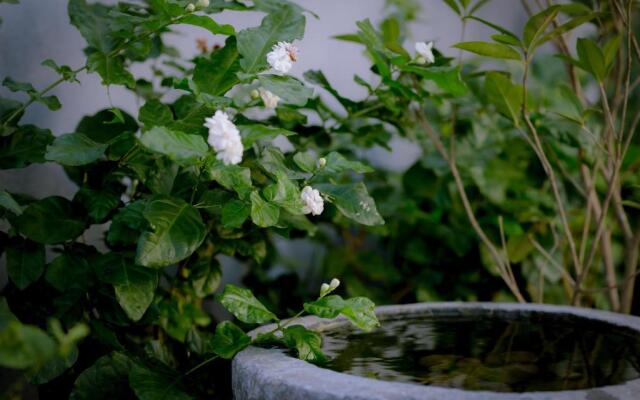 The Purple Hue Homestay