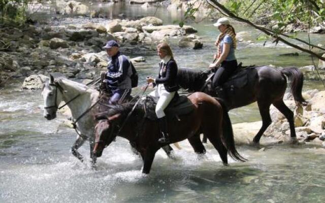 "Wellness Park Hotel Gagra" 5* All Inclusive