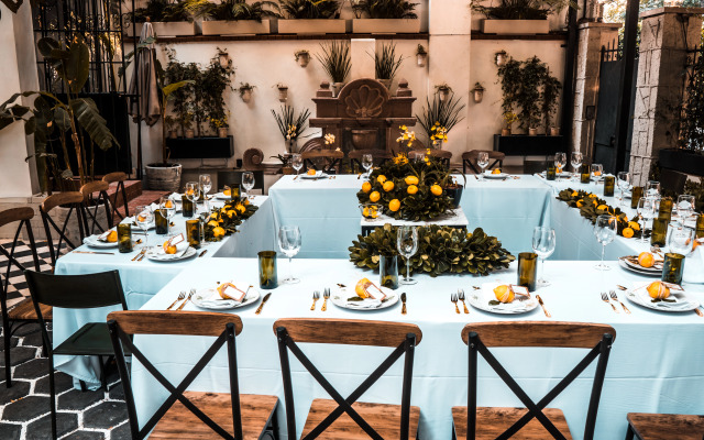 Orchid House Polanco