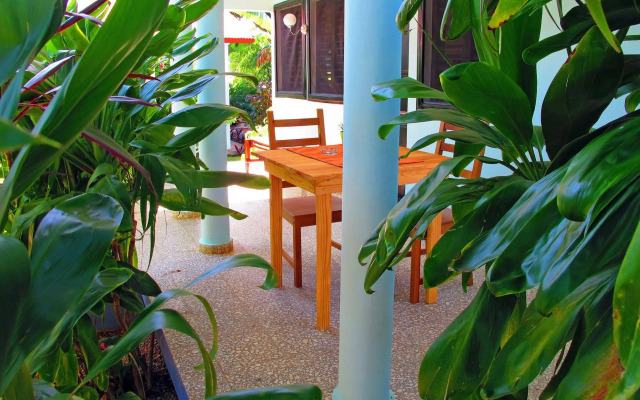 Bungalows of Las Galeras