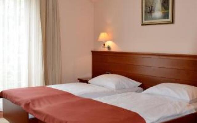 Hotel Mladimir
