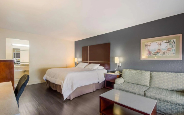 Clevelander Hotel – Adults Only