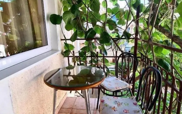 Accommodation Petrović