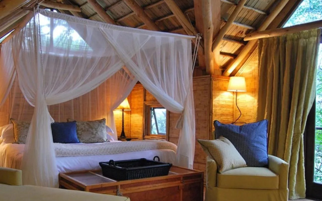 Phantom Forest Eco Reserve