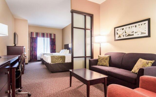 Comfort Suites Pecos