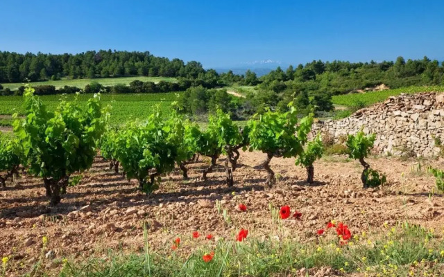 Contact Hôtel Restaurant Le Minervois