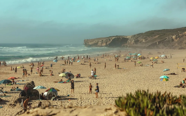 Birds of Paradise - Boutique surf lodge