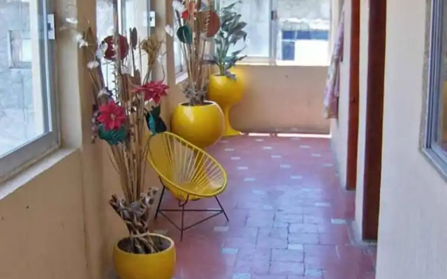 Hotel lobo del mar