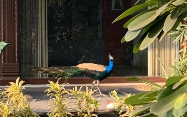 Best Western Radha Ashok