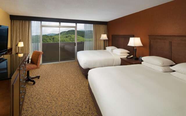 The Park Vista - a DoubleTree by Hilton Hotel - Gatlinburg