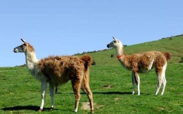 Apartment Ermitage 9