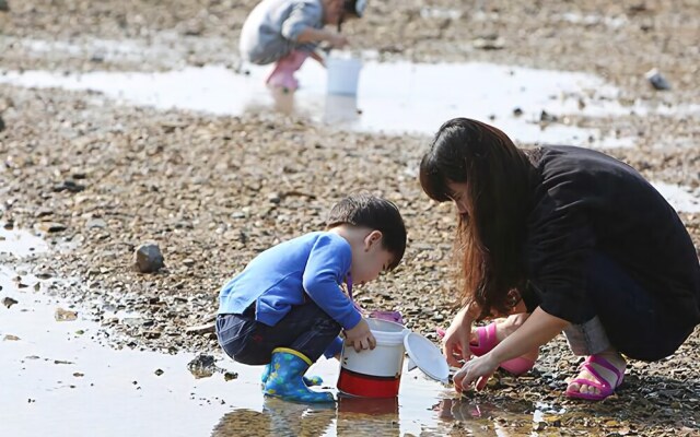 Taean The Day Pension