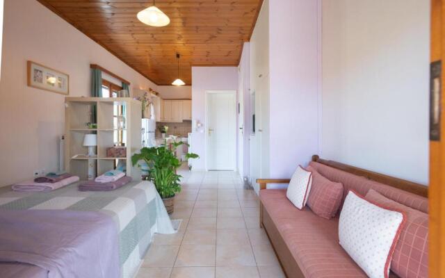 Studio Dionphaie - Διόνφαιη