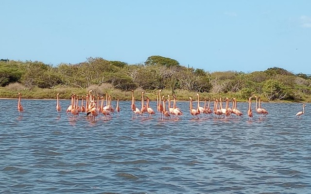 Flamencamarones Hotel Familiar
