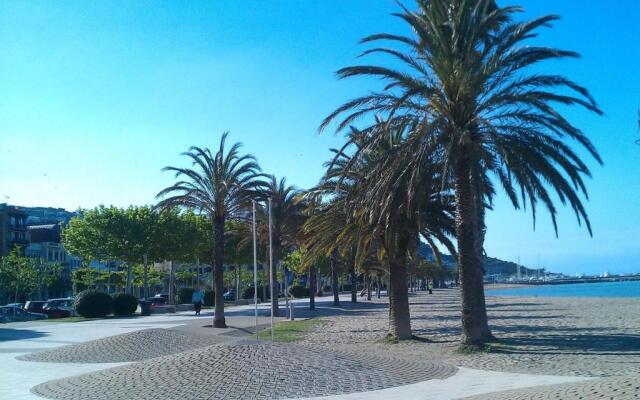 Thalassa 2 2 Roses - Barneda Premium