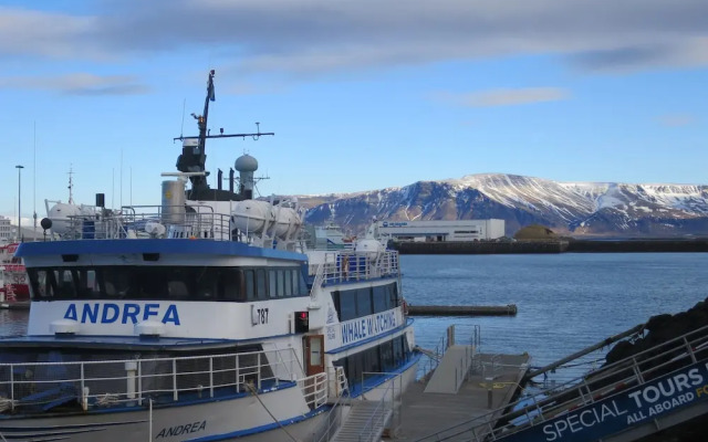 Studio apartment in heart of Reykjavik