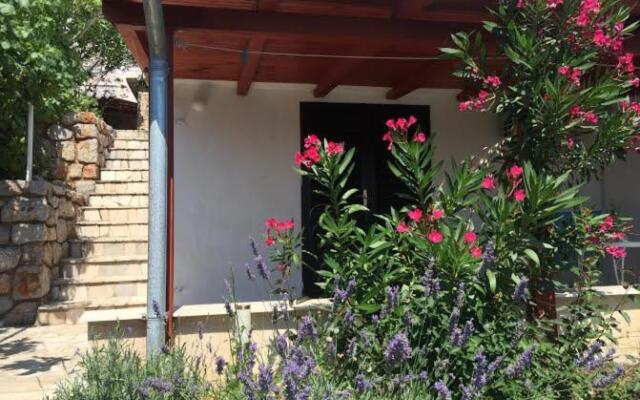 Studio Bozica Senj