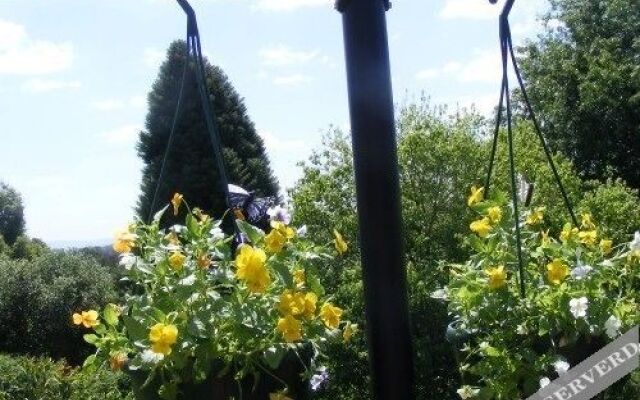 The Hilton Bed And Breakfast