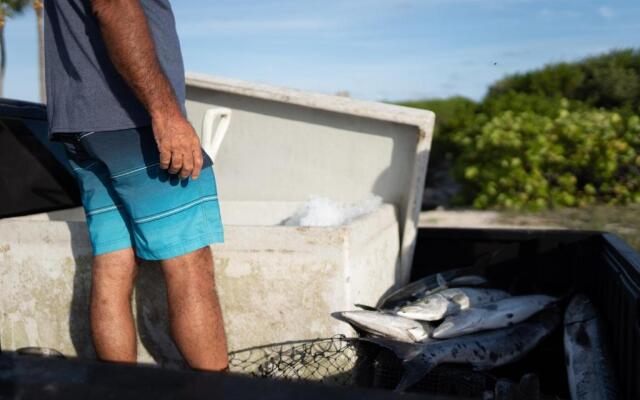 Fisher Inn Resort & Marina