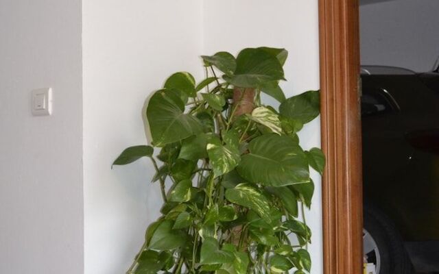Apartamentos Quercus