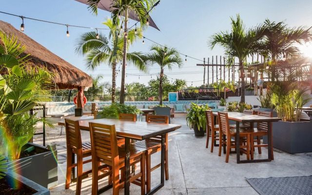 Mayan Monkey Hotel & Hostel Tulum
