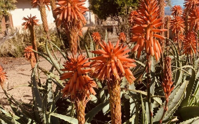 Hotel Rural Casa El Riego