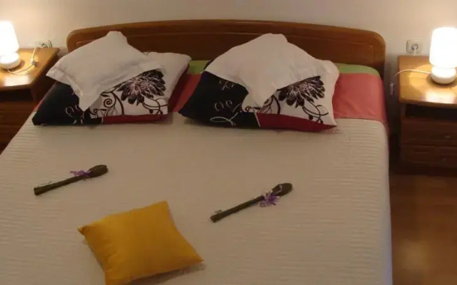 Apartment Piteša