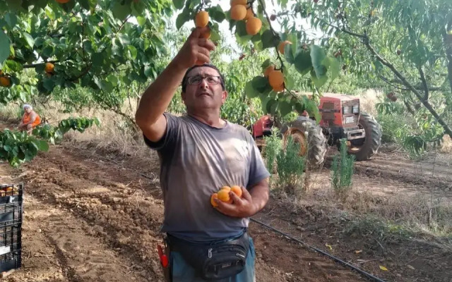 I Doni Del Mandorlo