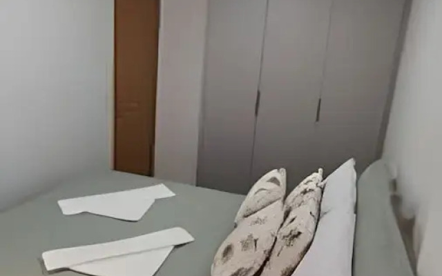 Studio Design 3 - Lions