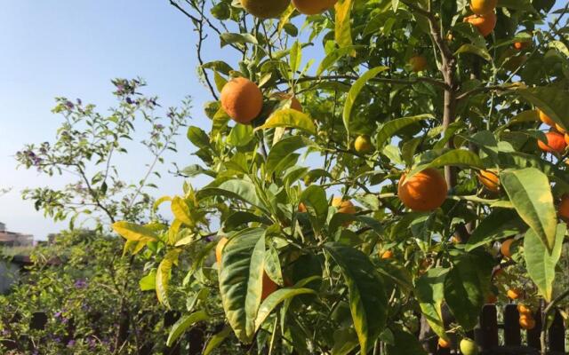 Appartamento Lavanda