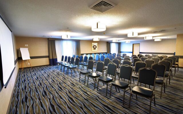 Best Western Plus Flint Airport Inn & Suites