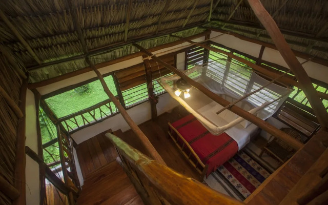 Cotton Tree Lodge