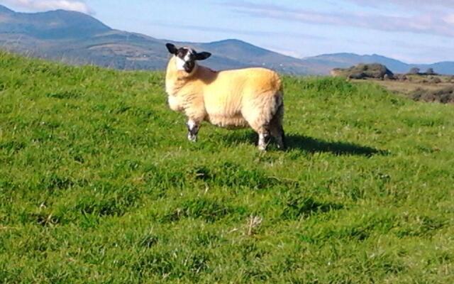 Westland Apartment No. 1