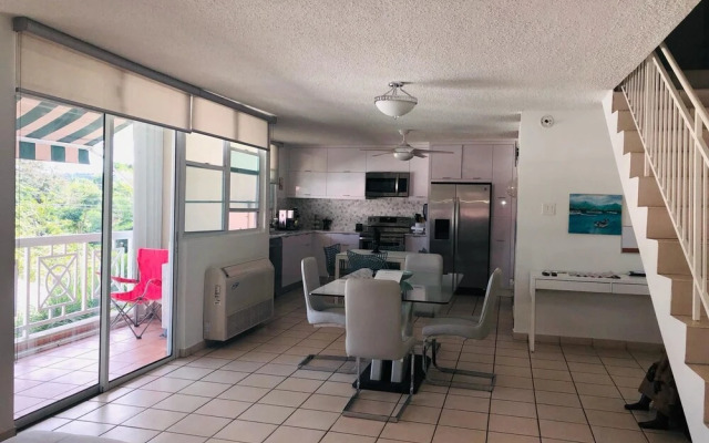 Suburb Pethouse Apartment