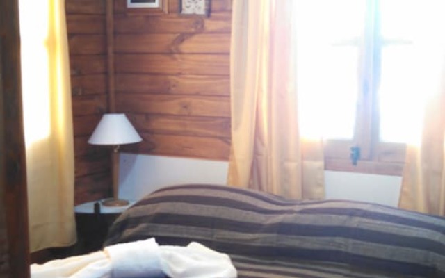 Verde y Sol en la Colonia