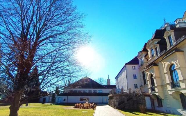 Johannes-Schloessl Der Pallottiner