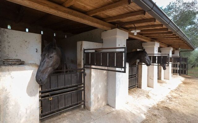 Masseria Casino Piarmi