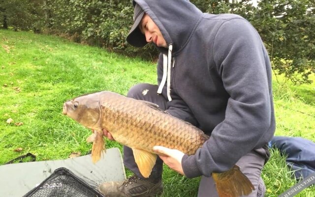 Thornbury Holiday Park