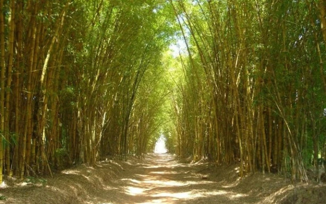 Pousada Fazenda Buracao