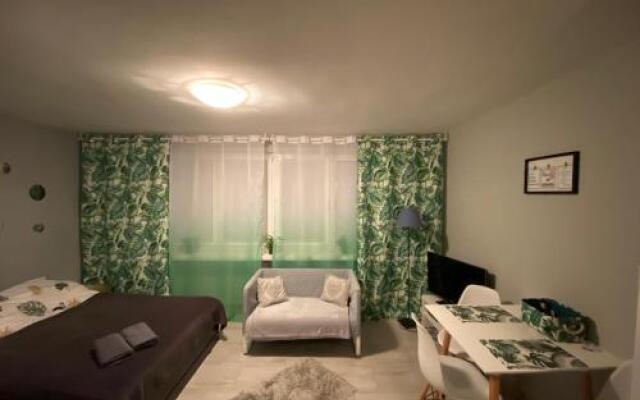 Apartament Centrum Panska