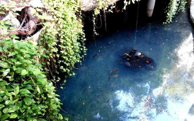 Tropical Casablanca Party Zone