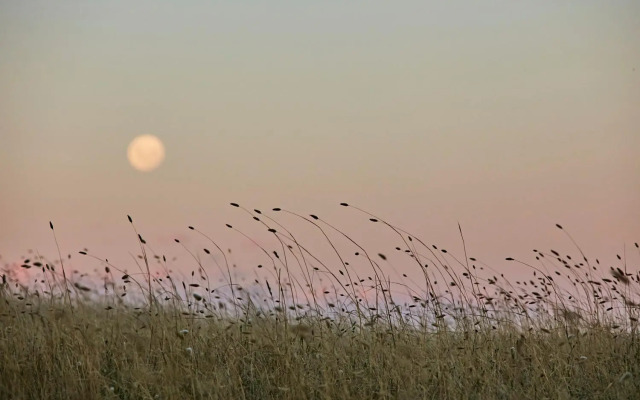 The Potters Garden B&B